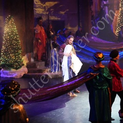 RCS Green Tec 70-200  10-30-2025